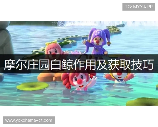 掌握庄闲和的基本技巧与高级策略提升你的游戏胜率实现盈利目标